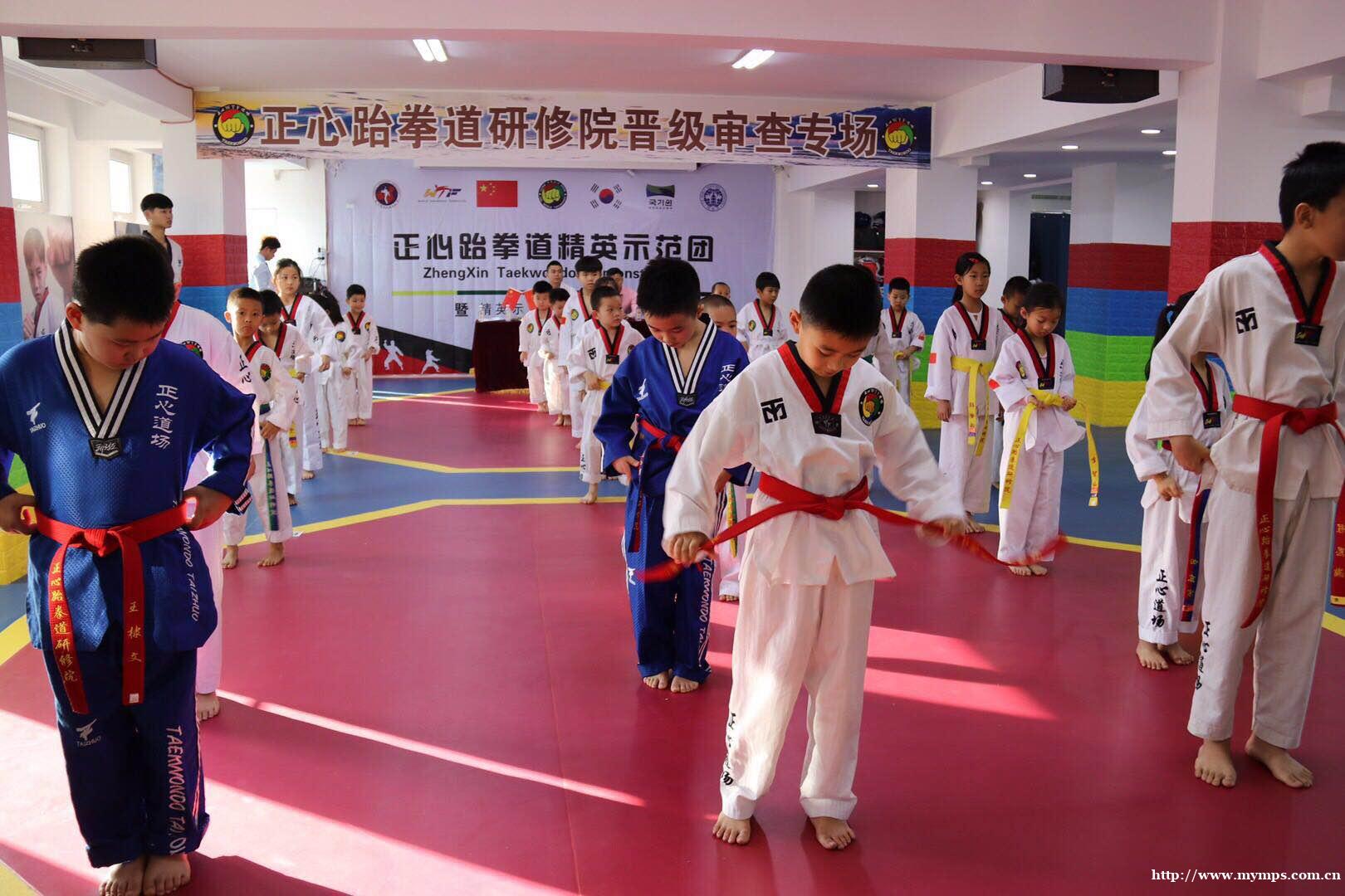 正心泰拳道诚聘