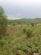 九台土门岭镇民主村果园和房屋出售