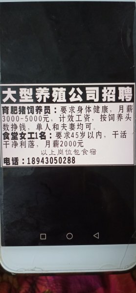 大型养殖公司招聘