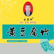 纯豆腐竹加盟招商