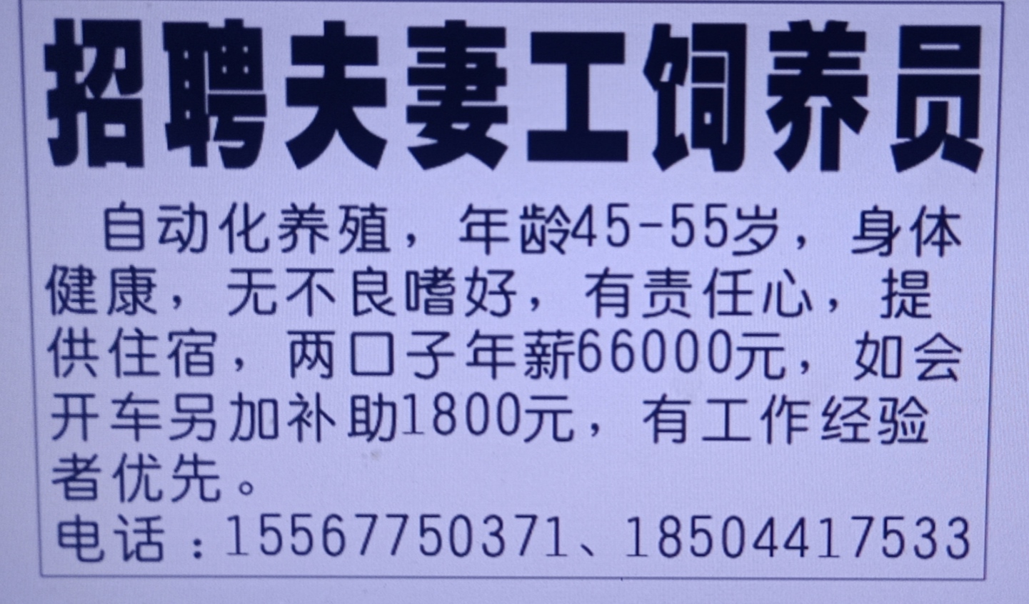 招聘夫妻工饲养员