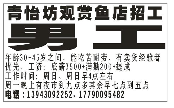青怡坊观赏鱼店招男工
