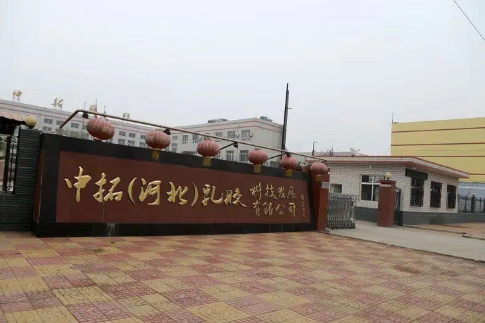 中拓（河北）乳胶科技发展有限公司