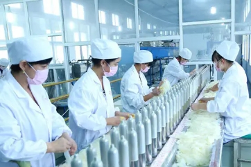 中拓（河北）乳胶科技发展有限公司