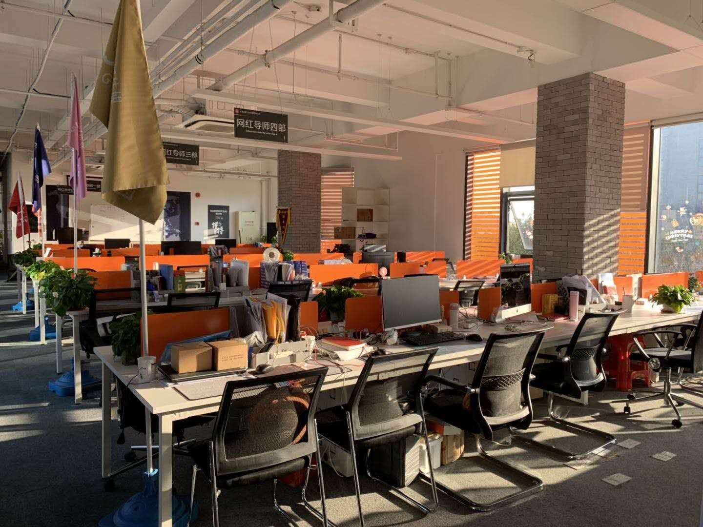 高新招聘网红导师