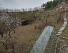 土地、厂房出售急售