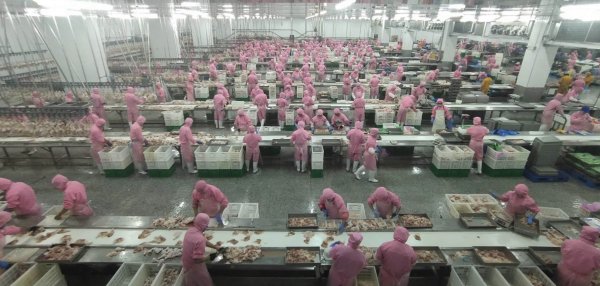 兴祥食品有限公司招流水线工人