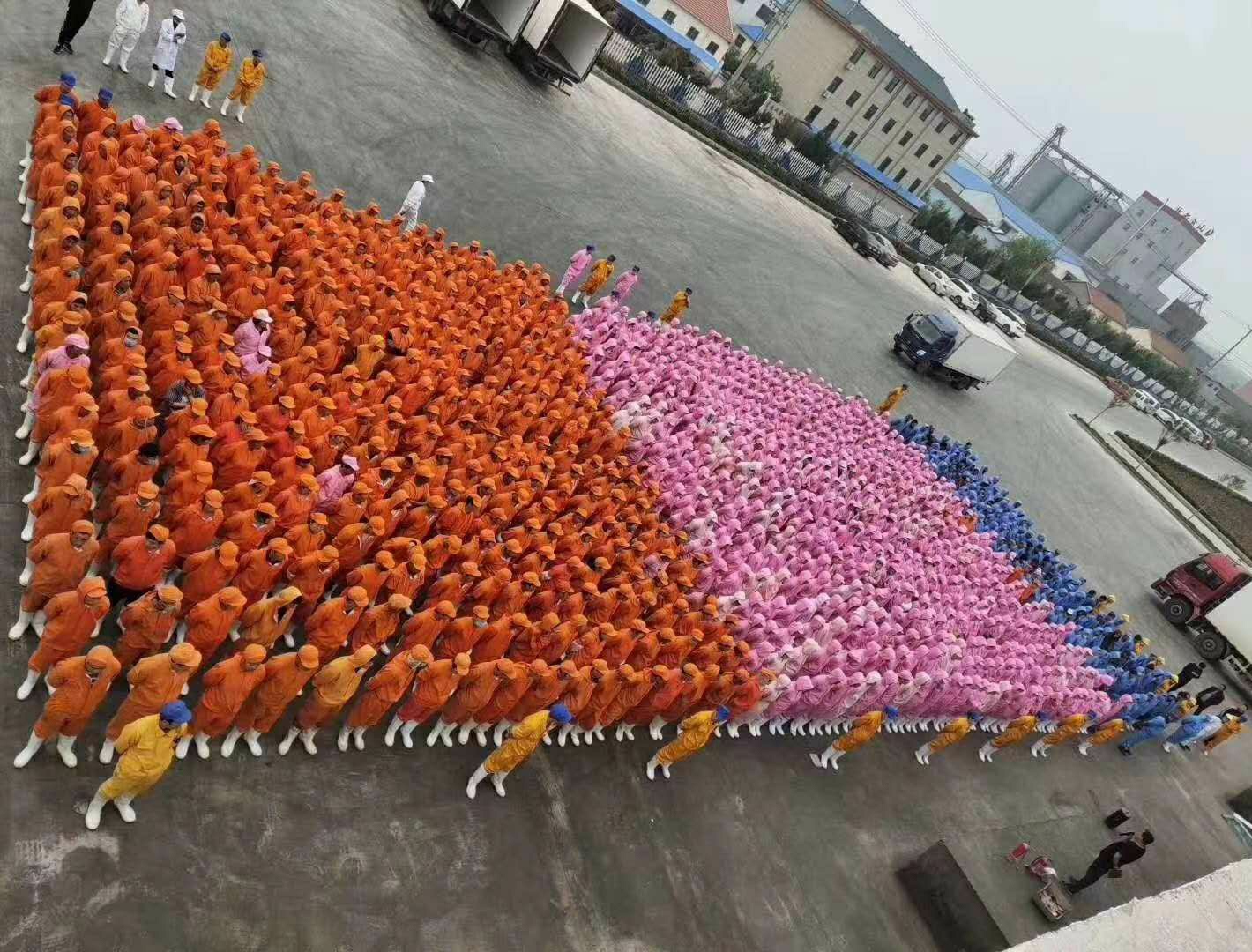 兴祥食品有限公司招流水线工人