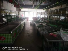 生鲜门市出兑