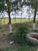 出售场地 出售场地