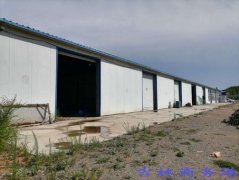 厂房带鱼池出售