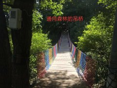 度假区出售或合作