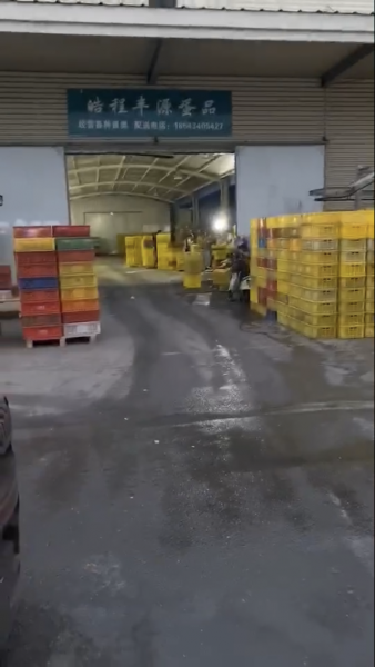 晧程丰源蛋品诚聘