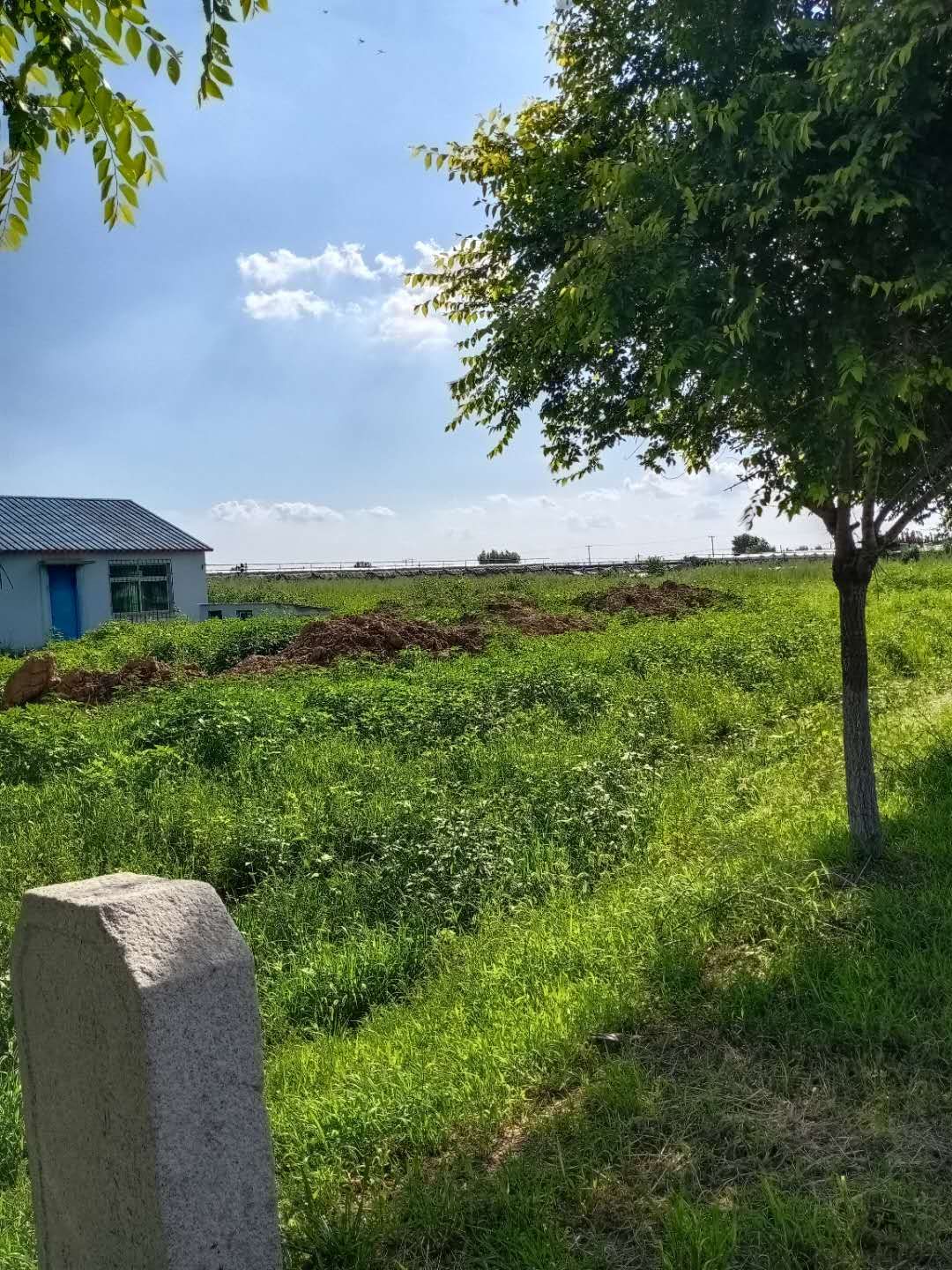 厂房出售,出售 厂房出售,出售