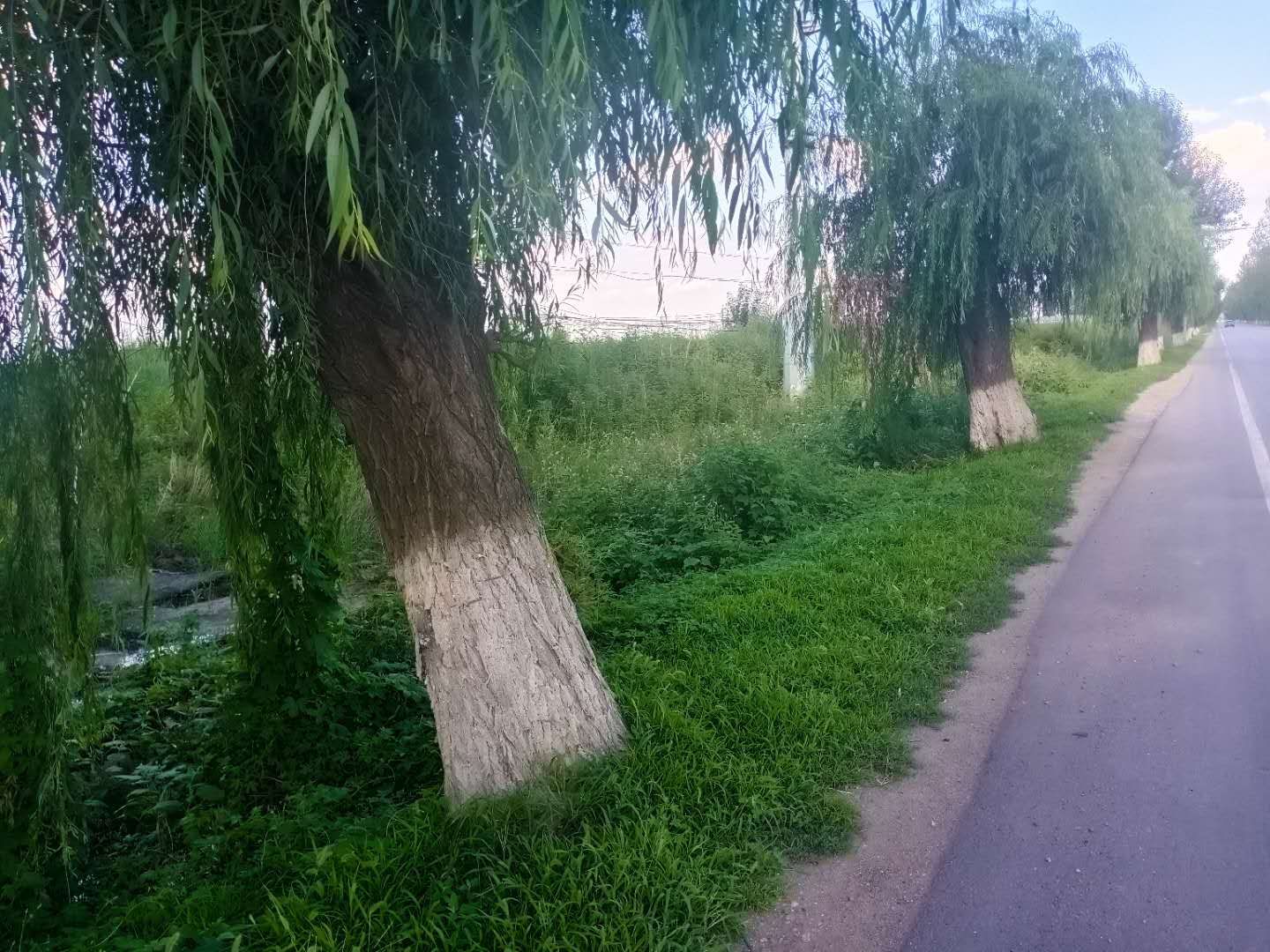 厂房出售,出售 厂房出售,出售