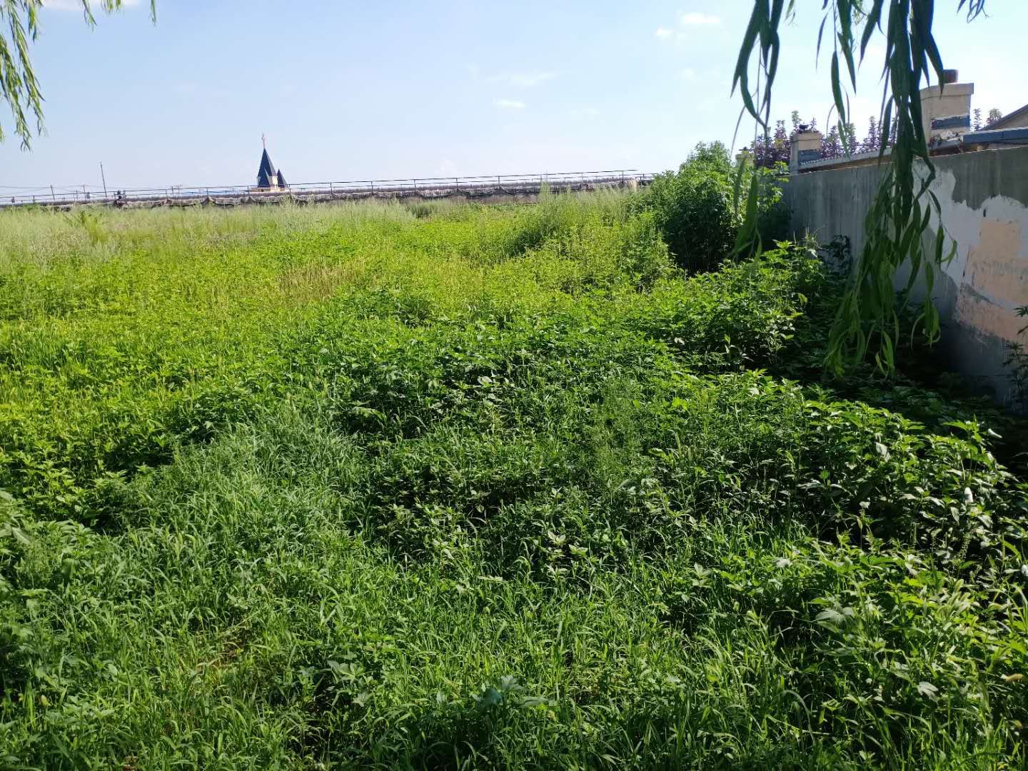 厂房出售,出售 厂房出售,出售