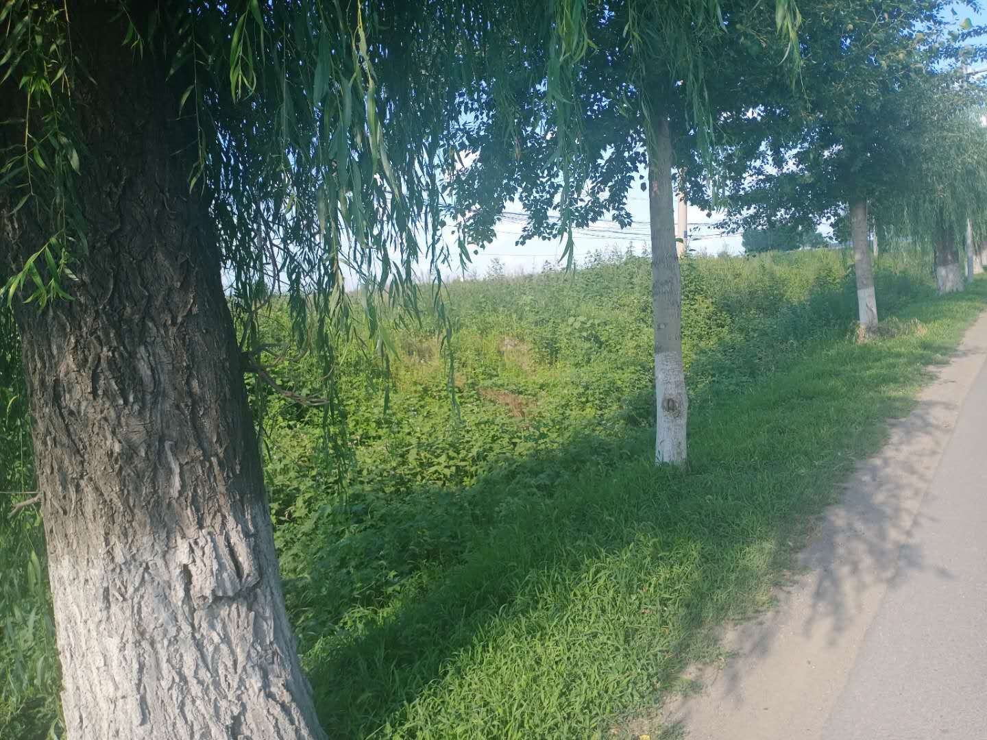 厂房出售,出售 厂房出售,出售