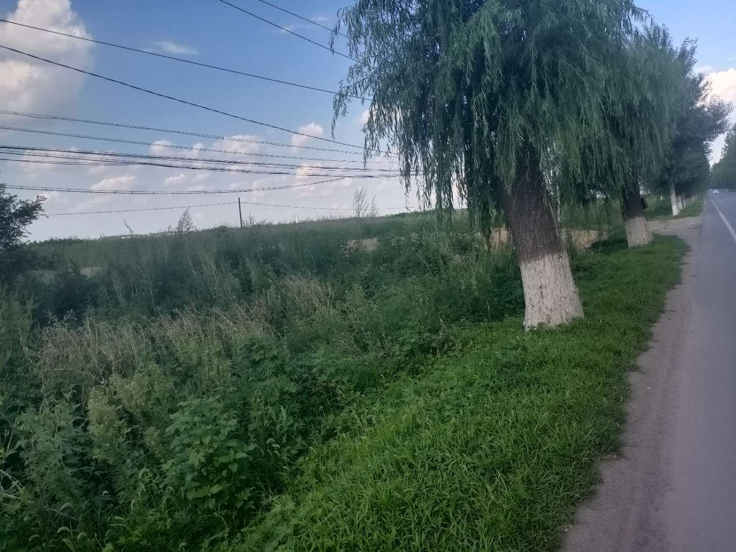 厂房出售,出售 厂房出售,出售