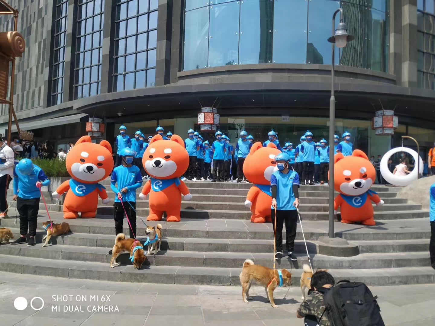 诚聘美团与饿了么外卖骑手