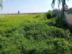 厂房出售，出售