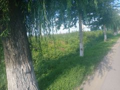 厂房出售，出售