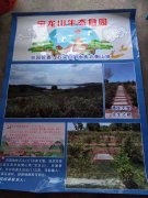 金牌墓地热销中