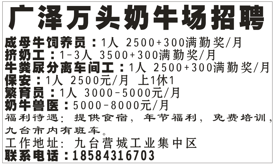 广泽万头奶牛场招聘