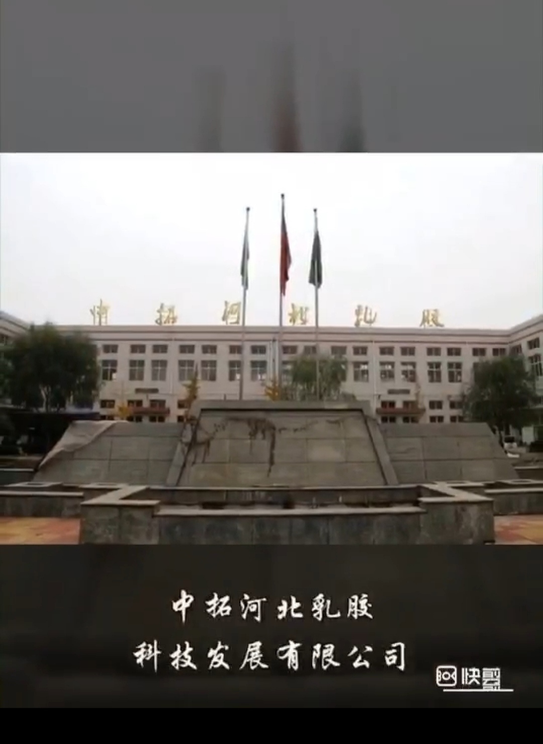 中拓河北乳胶科技有限公司聘