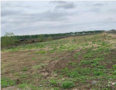 鱼池出售（德惠市）