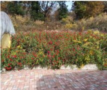 厂房出售（吉林市）