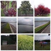 出售山庄（伊通满族自治县）