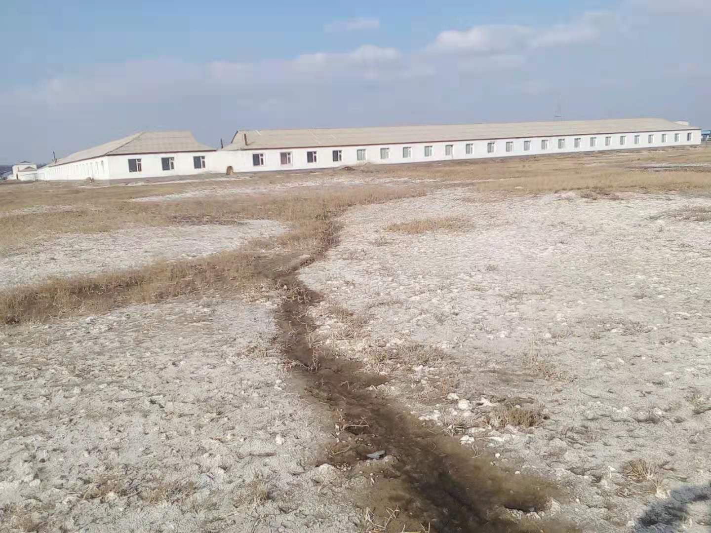 厂房带酒厂租售 厂房带酒厂租售