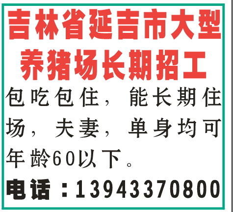 吉林省延吉市大型 养猪场长期招工