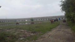 厂房带酒厂租售