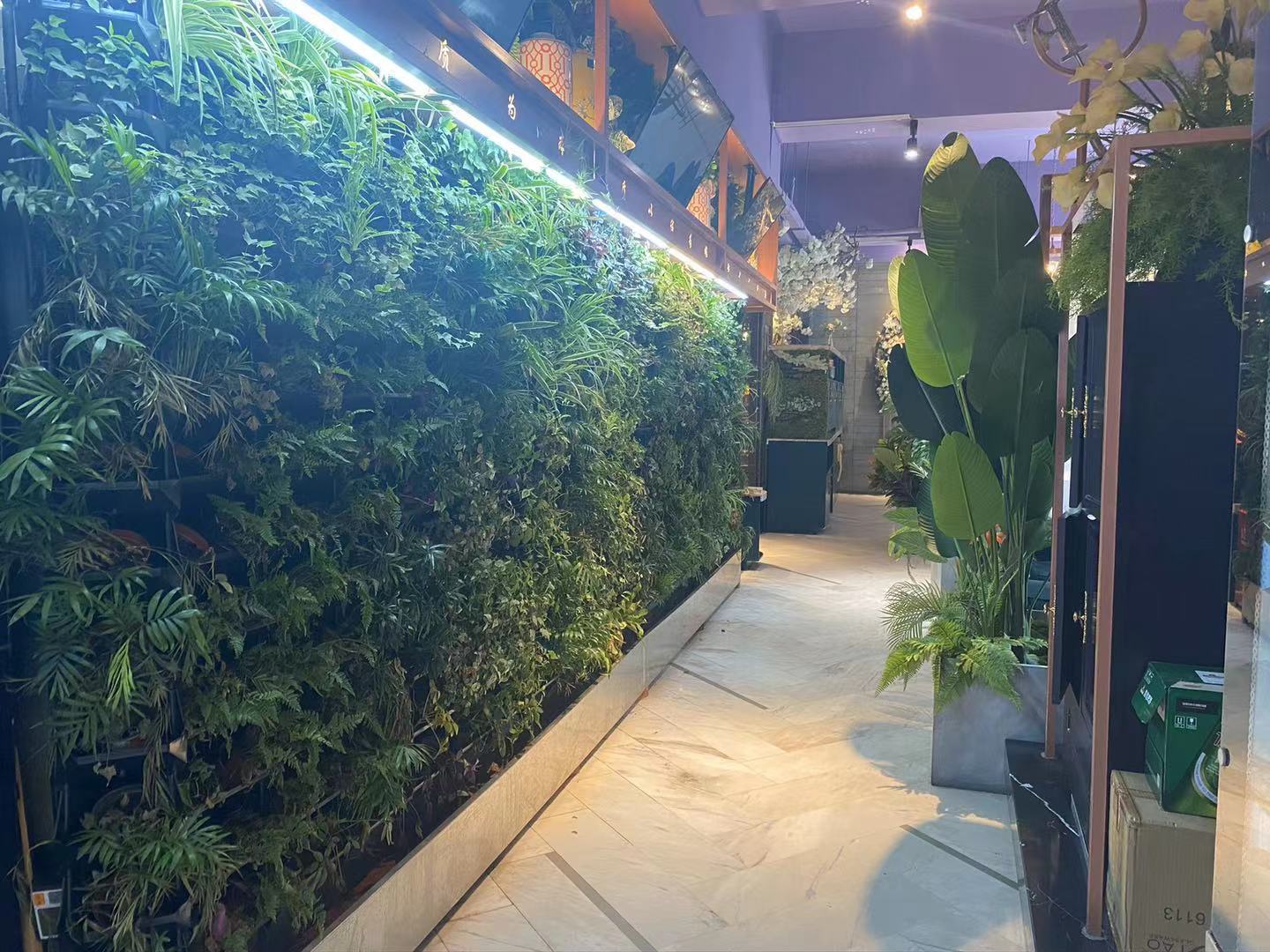 老长春肉馆招聘啦