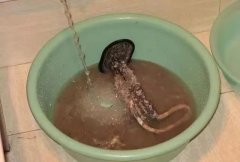 清洗自来水管 热水器 地热