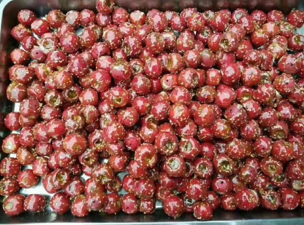 招聘小姑娘冰糖葫芦卖货人员