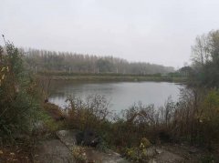 厂房水面出租出售