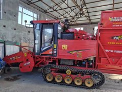 高价回收 （诚信经营，信誉至上）