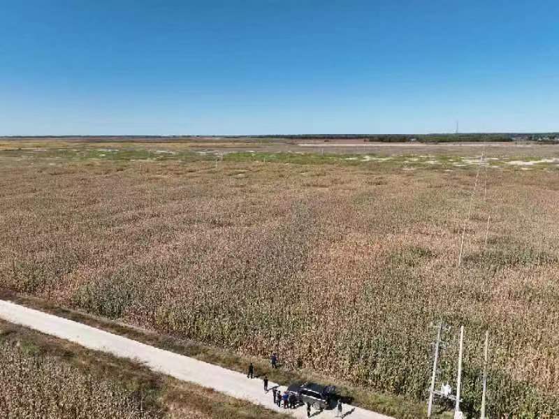 草原、土地转让 草原、土地转让
