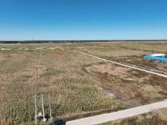 草原、土地转让