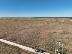 草原、土地转让