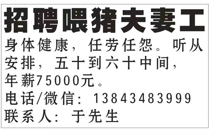 招聘喂猪夫妻工