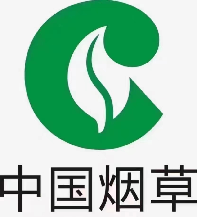 正规教育机构实力特训项目