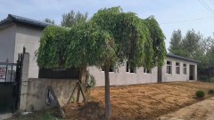 长春土地出租，带养殖场|农家乐｜鱼塘｜垂钓园｜可分租～